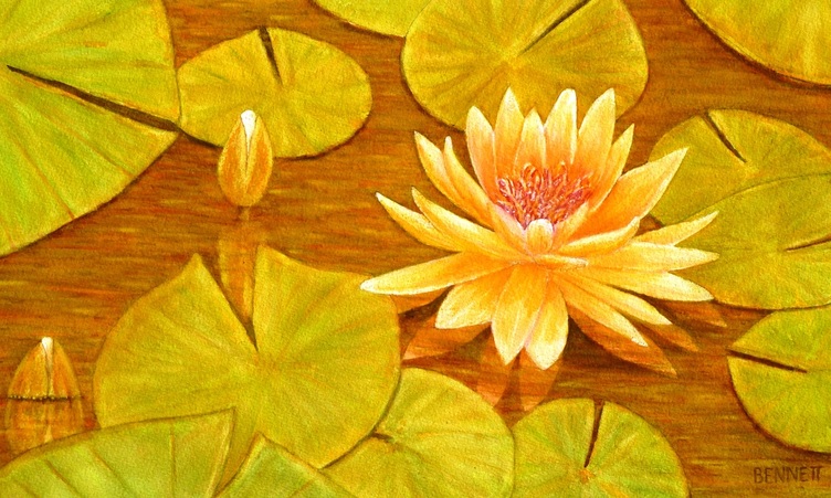 Picture